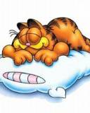 Gato Garfield durmiendo