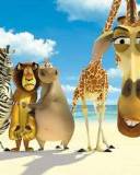 Animalitos amigos en la Playa