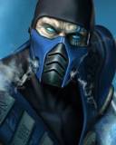 Subzero Enmascarado