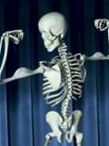 Esqueleto haciendo Ejercicios