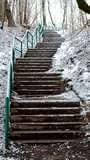 Escalera en el Bosque