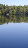 Lago rodeado de árboles