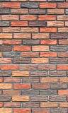 Pared Ladrillos