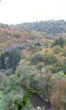 Un río atraviesa el Bosque