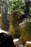 Piedras en el Bosque